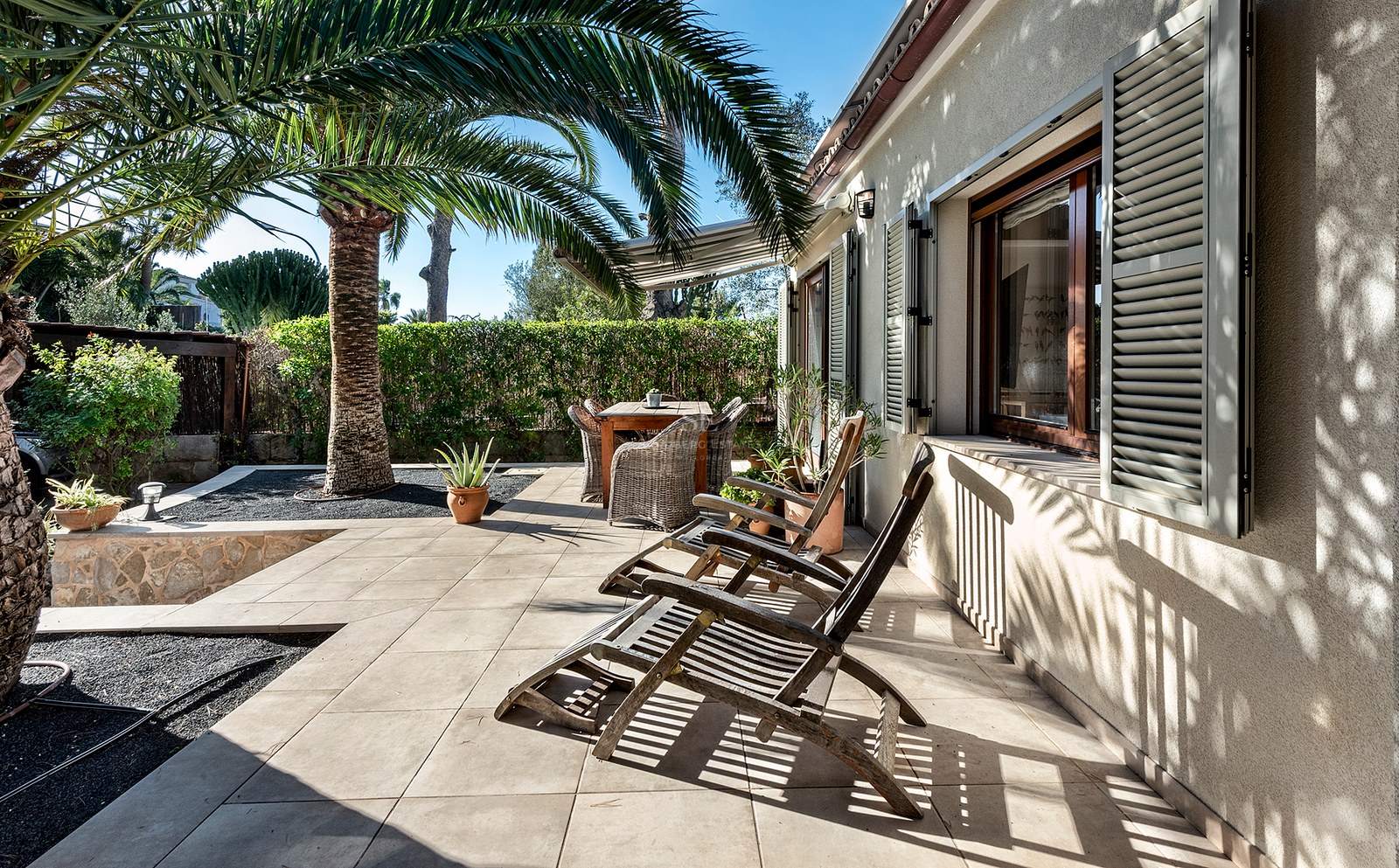 Terraza soleada con tumbonas de madera, mesa de comedor y una gran palmera junto a una fachada con contraventanas.