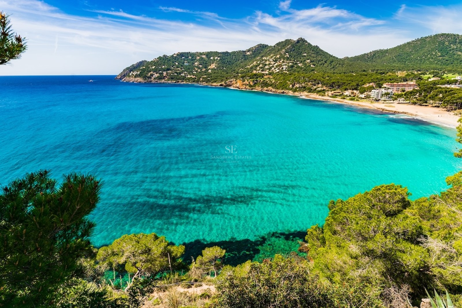 High-angle view of a crystal clear turquoise bay surrounded by green pine trees and distant mountains under a blue sky.