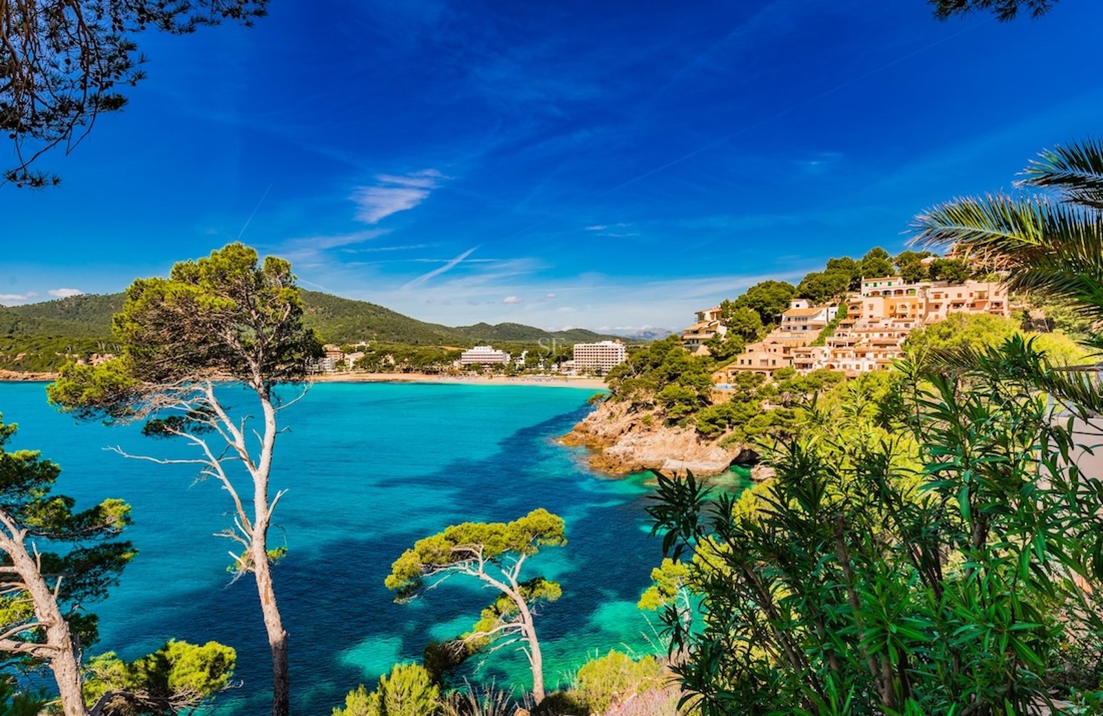 View of a coastal bay with turquoise waters, pine trees, and Mediterranean buildings under a blue sky.