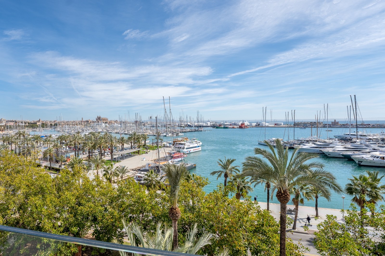 Vue panoramique d'un port méditerranéen rempli de yachts et de palmiers avec une cathédrale historique au loin.