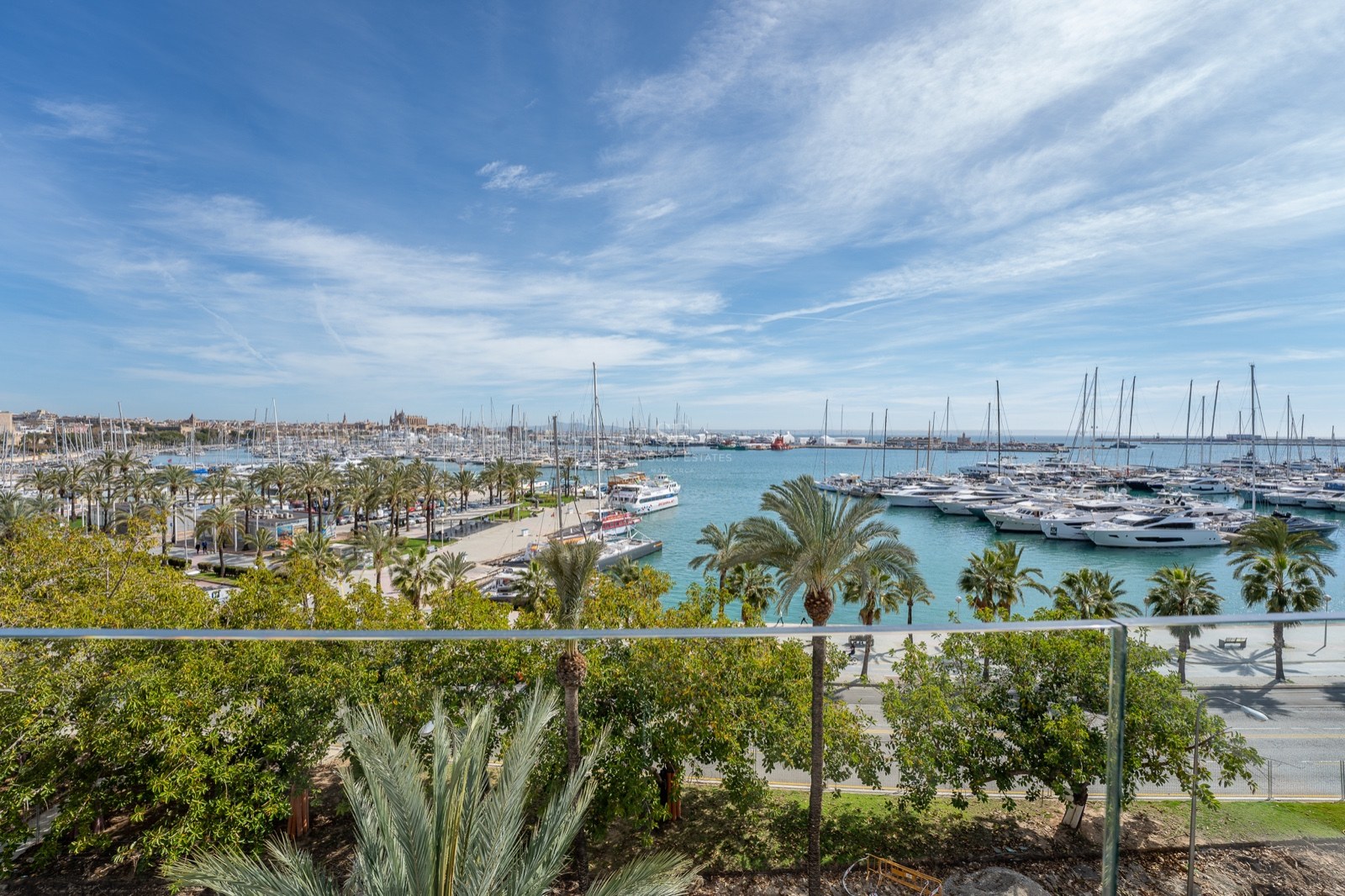 Vue surélevée à travers un garde-corps en verre surplombant une marina remplie de yachts avec des palmiers et la cathédrale.