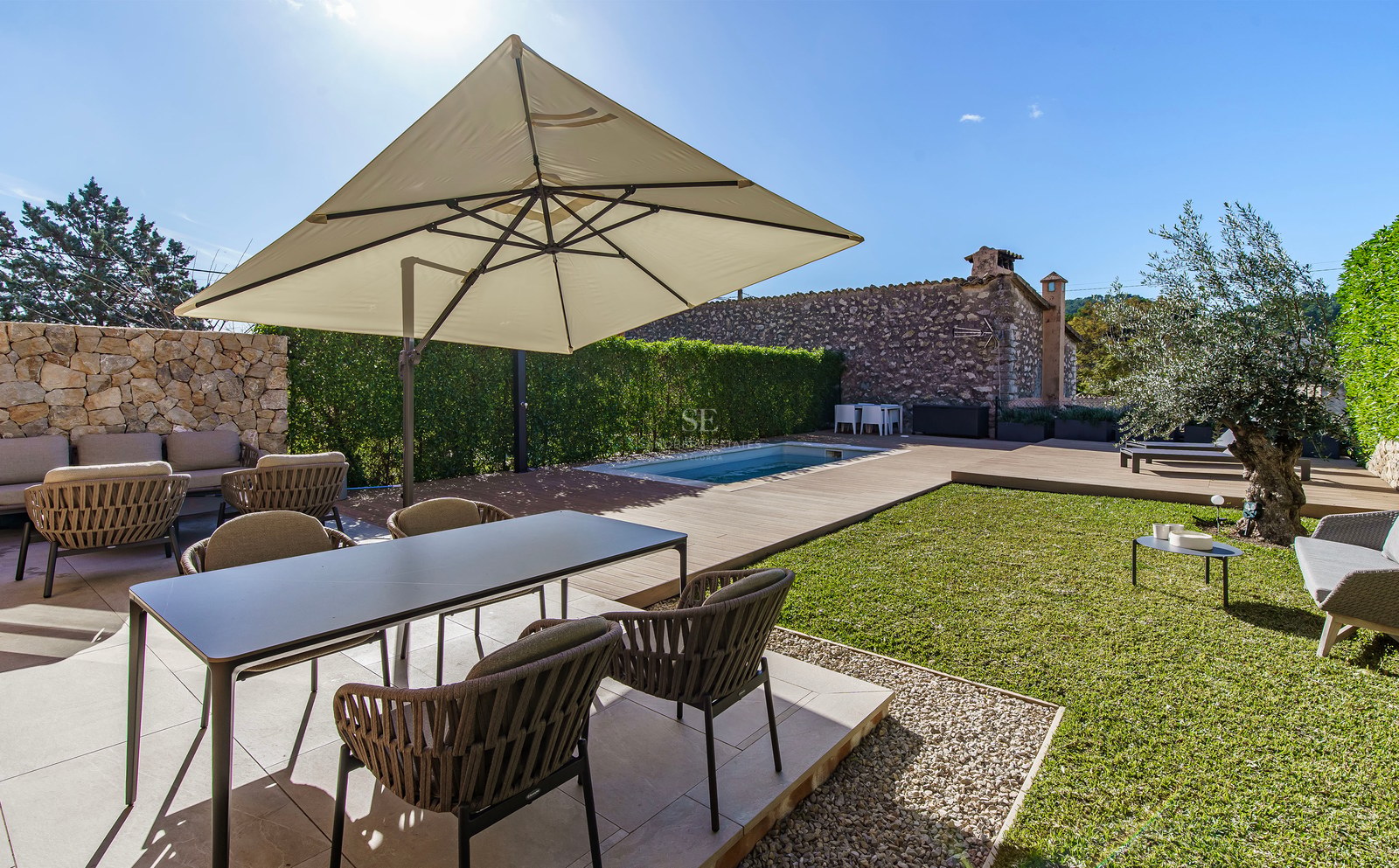 Terrasse ensoleillée avec salle à manger moderne, grand parasol, petite piscine et pelouse avec un olivier.
