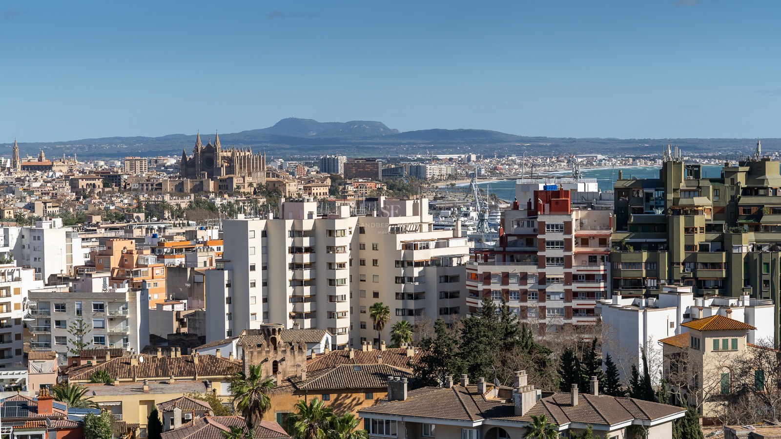 Upphöjd vy över Palma de Mallorcas skyline med katedralen, stadens byggnader och Medelhavet.