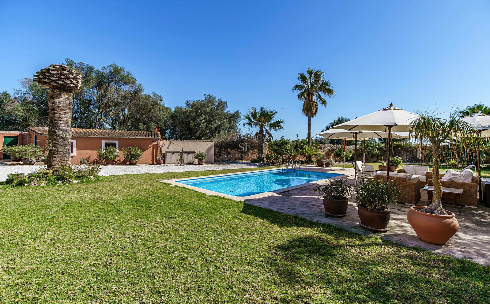 Sonniger Pool umgeben von grünem Rasen, Palmen und einem Loungebereich mit Sonnenschirmen unter blauem Himmel.