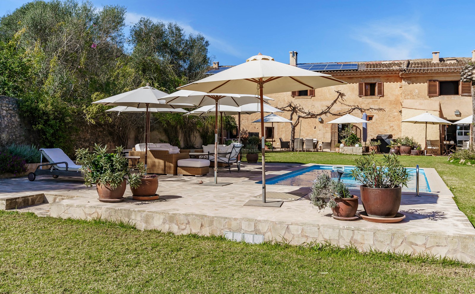 Großer blauer Pool mit Steinterrasse, weißen Sonnenschirmen und Korbmöbeln in einem sonnigen Garten.