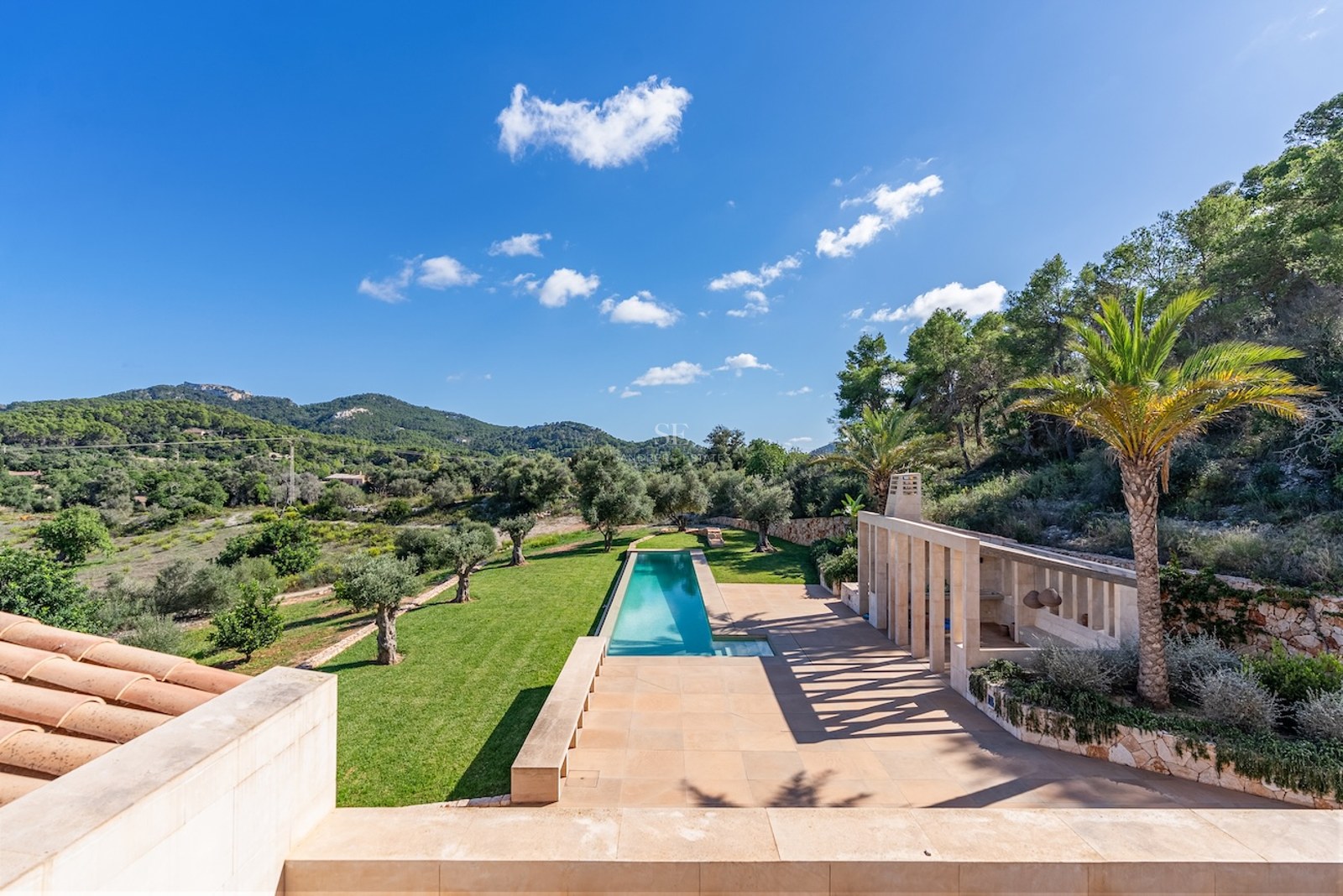 High-angle view of a long turquoise lap pool, stone terrace, and olive trees set against lush green hills and a blue sky.