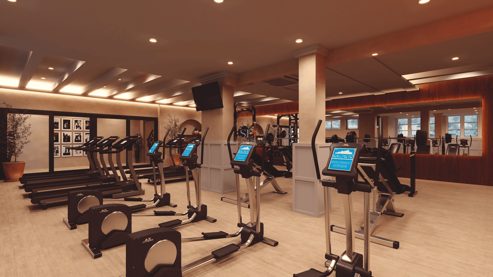 Modern gym featuring rows of treadmills and ellipticals, wooden floors, and warm recessed lighting.