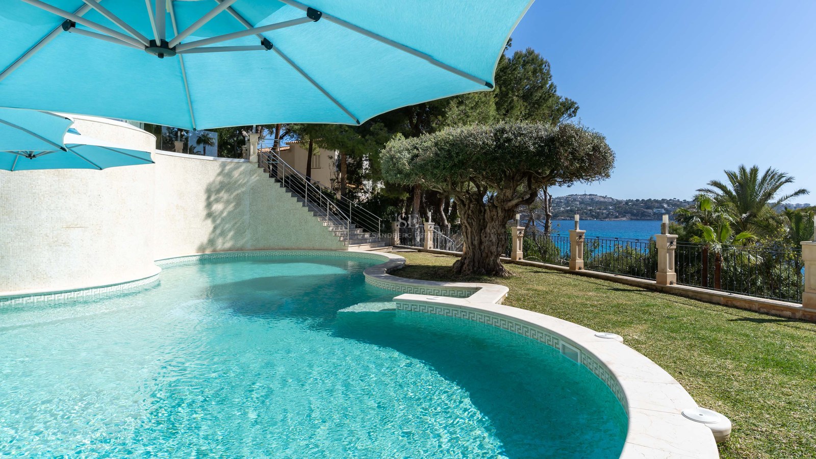 Piscine courbée aux eaux turquoise avec un olivier et vue sur la mer sous un parasol bleu.