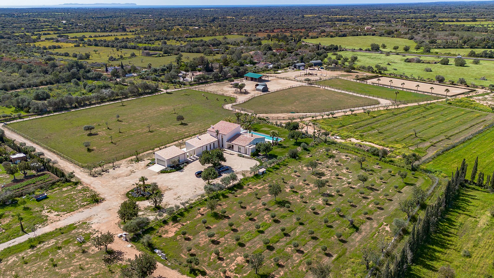 High-angle aerial view of a white luxury villa with a swimming pool, surrounded by olive groves and rural fields.