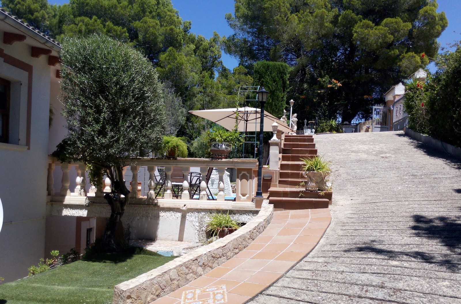 Allée en pierre et escaliers en terre cuite menant à une villa entourée de pins méditerranéens.