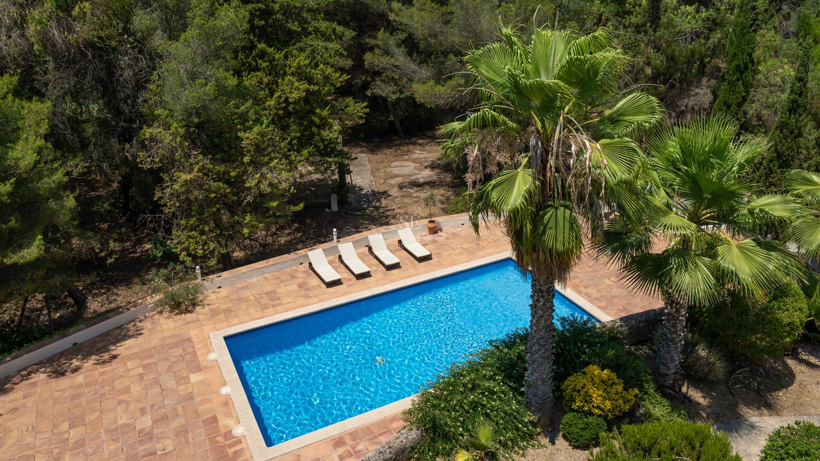 Aerial view of a rectangular blue swimming pool surrounded by terracotta tiles and tall palm trees in a forest setting.