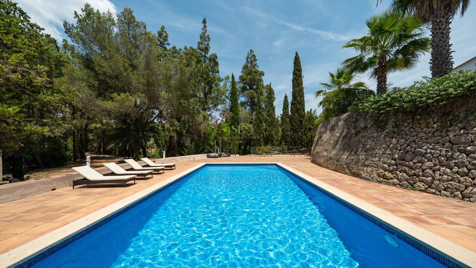 Rectangular blue swimming pool with four sun loungers on a terracotta terrace, framed by tall pine and palm trees.