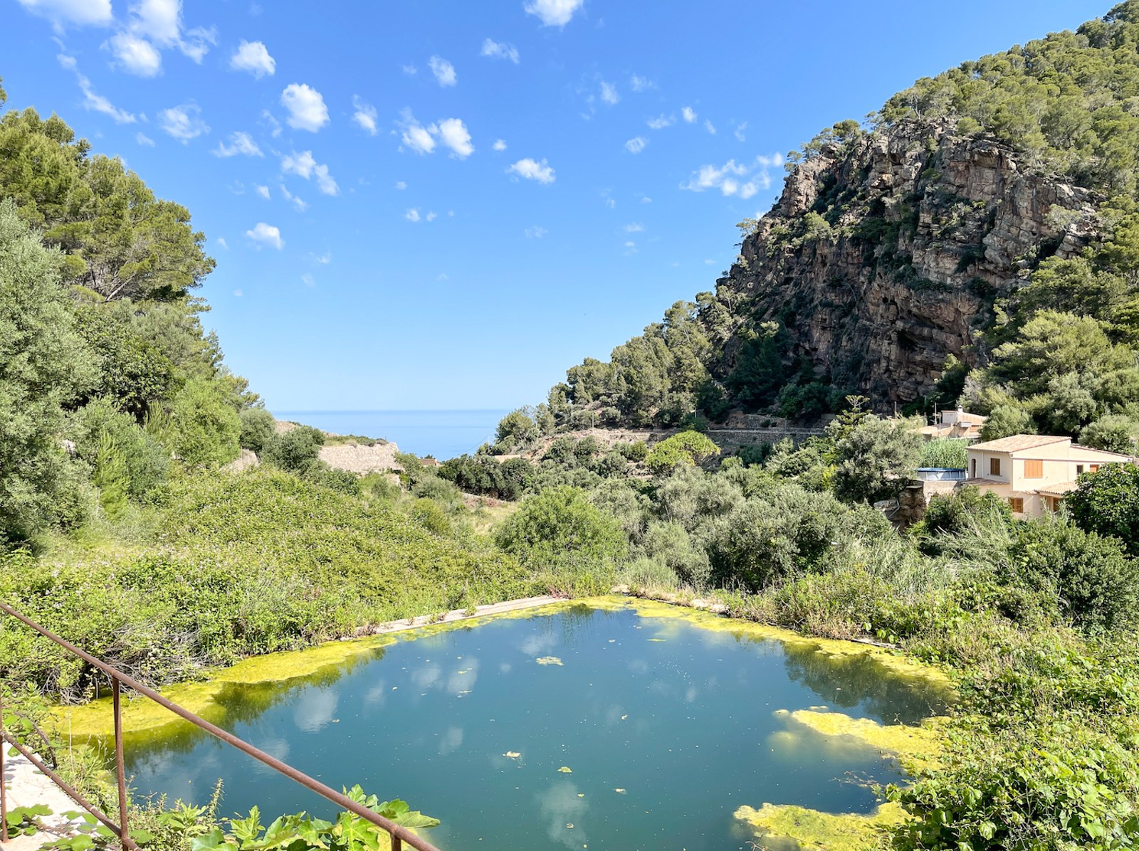 Vistas desde una posición elevada que muestran un estanque natural, frondosa vegetación, un acantilado y el mar al fondo.