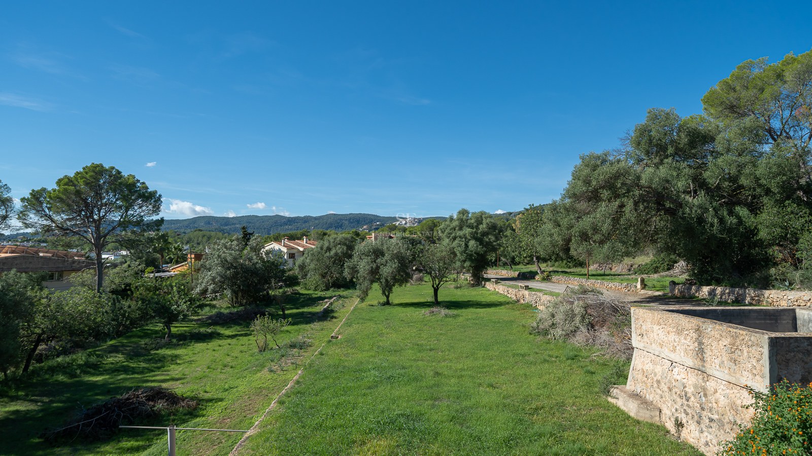 Vista amplia de un césped verde rodeado de olivos y muros de piedra rústica bajo un cielo azul claro.