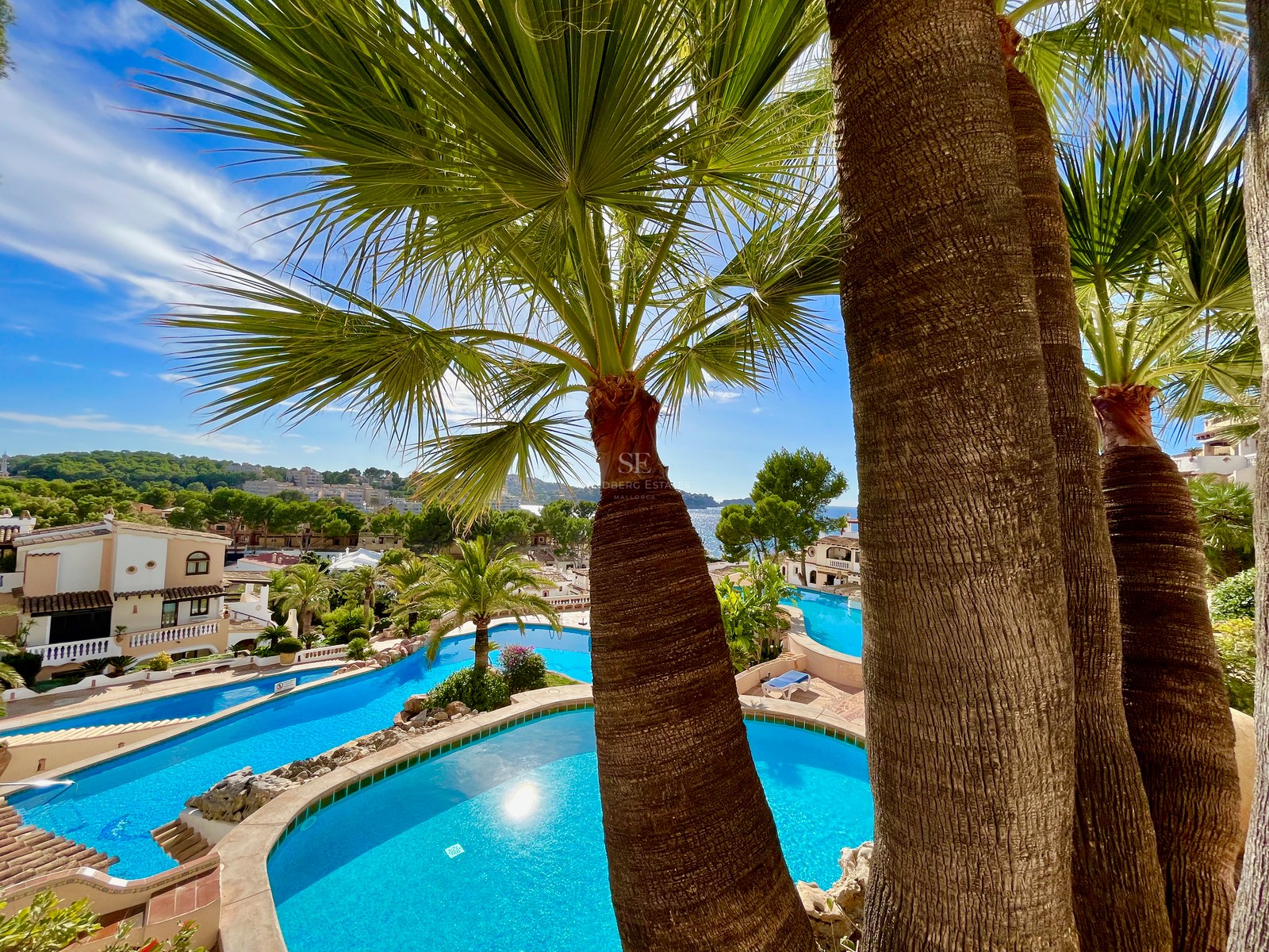 Vue à travers des palmiers sur de grandes piscines turquoise surplombant une ville côtière et la mer.