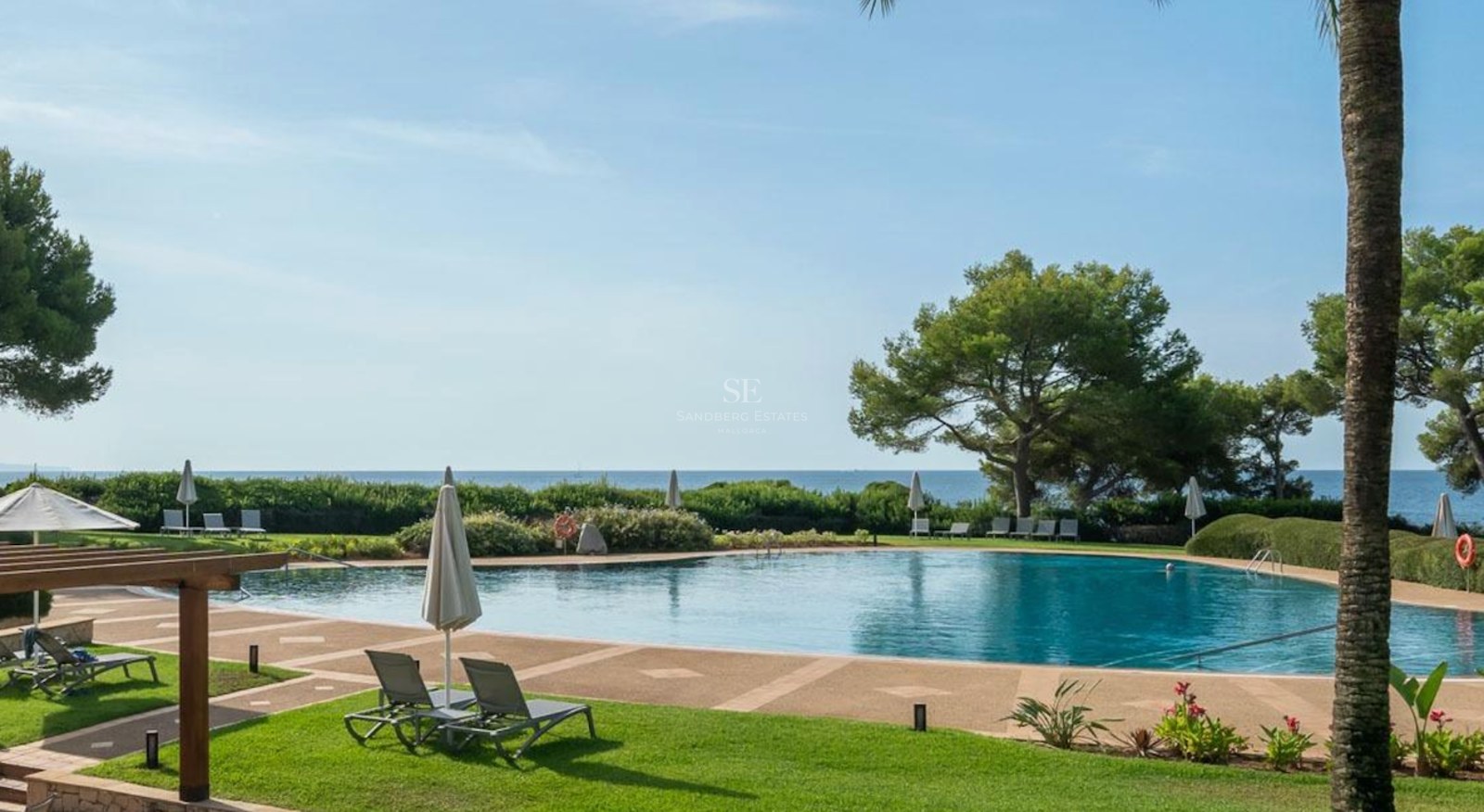 A large blue swimming pool surrounded by a stone deck, green lawn, sun loungers, and pine trees with sea views.