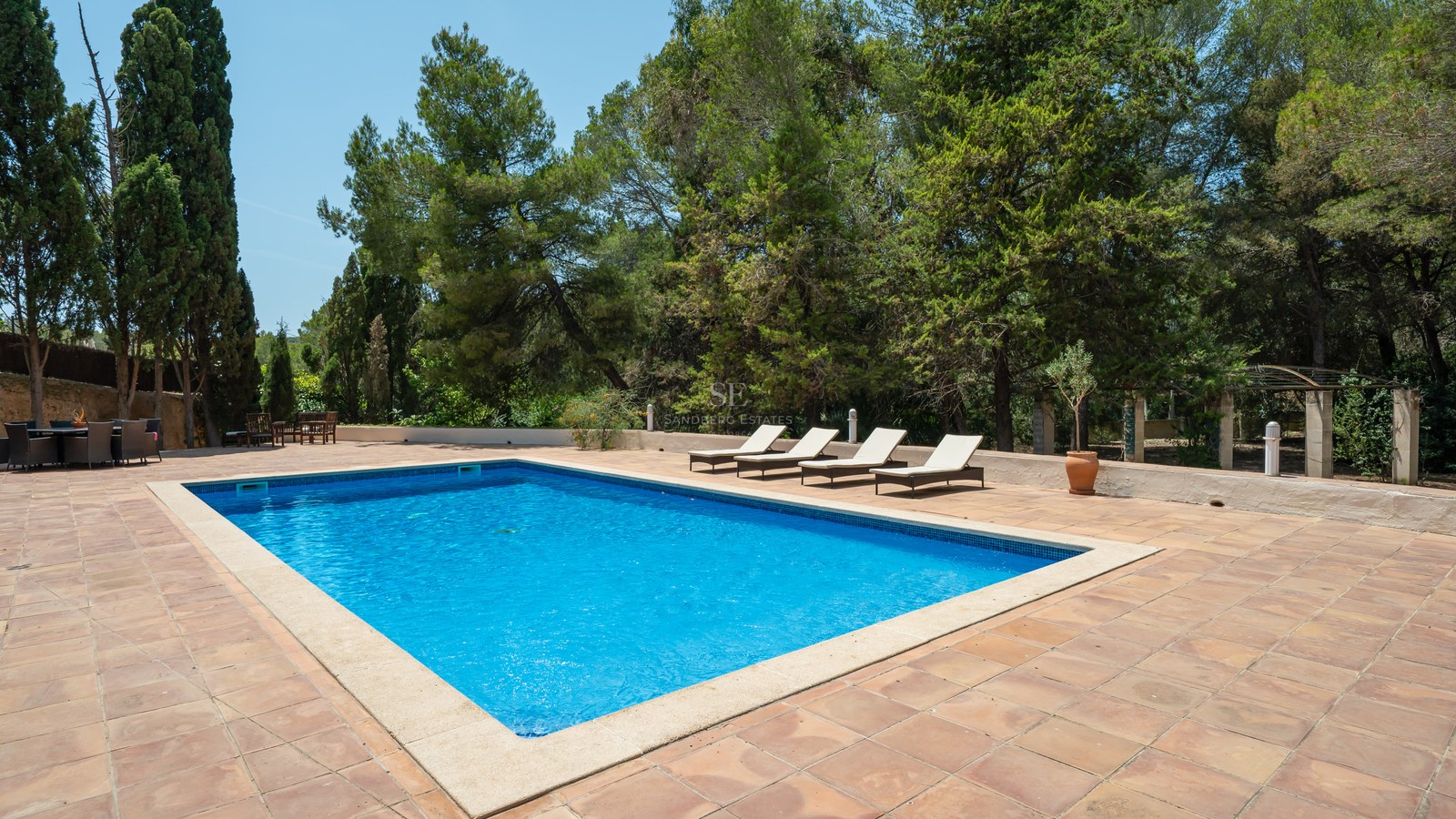 Rectangular blue swimming pool on a terracotta terrace with four sun loungers and lush green trees in the background.