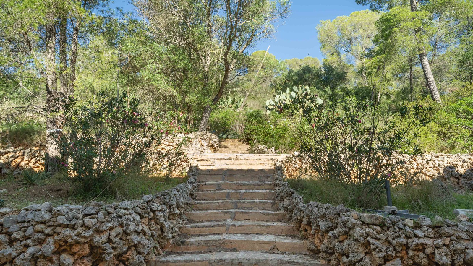 Escalones de piedra natural flanqueados por muros de piedra y vegetación mediterránea bajo un cielo azul claro.