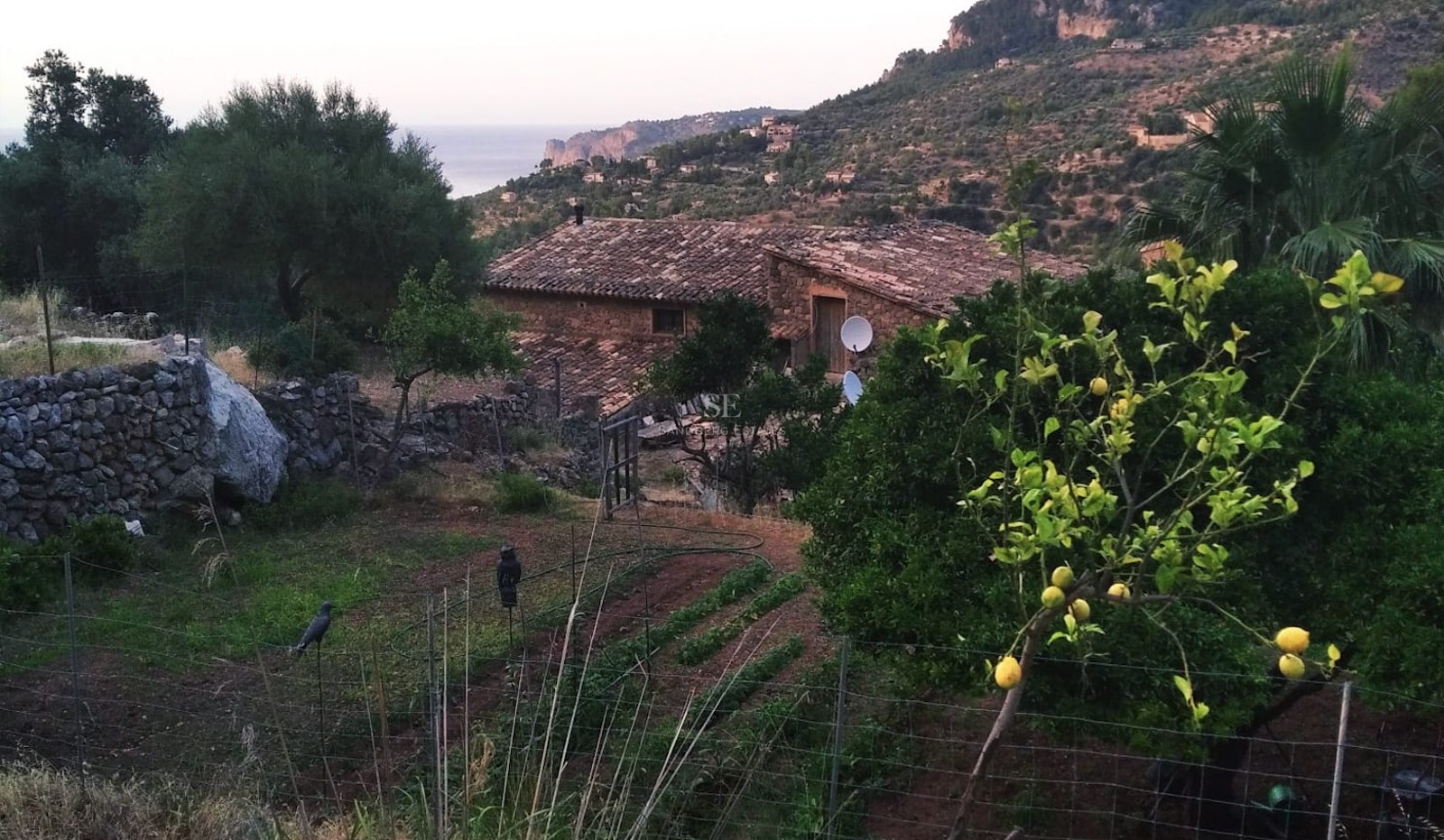 Maison traditionnelle en pierre avec toit en terre cuite entourée d'un potager, de citronniers et vue sur la mer.