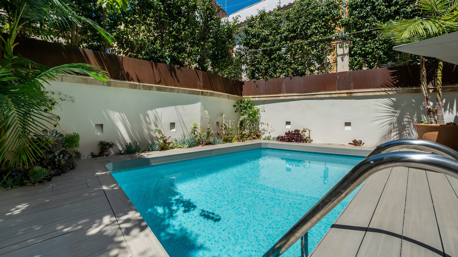 Piscine rectangulaire turquoise entourée d'une terrasse grise et de murs blancs avec des plantes tropicales luxuriantes.