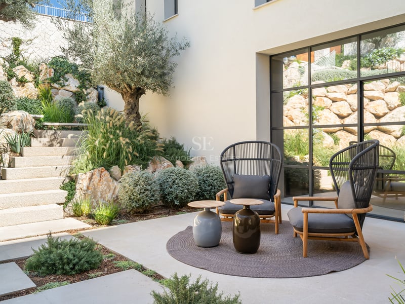 Patio moderne avec fauteuils gris, escaliers en pierre, olivier et grande fenêtre de style industriel.