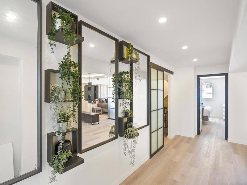 Couloir moderne avec miroirs à cadre noir, étagères intégrées avec plantes et parquet en bois clair.