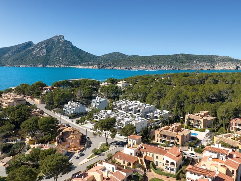 Vue aérienne de villas côtières nichées dans des pinèdes au bord d'une mer turquoise avec un sommet montagneux en arrière-plan.