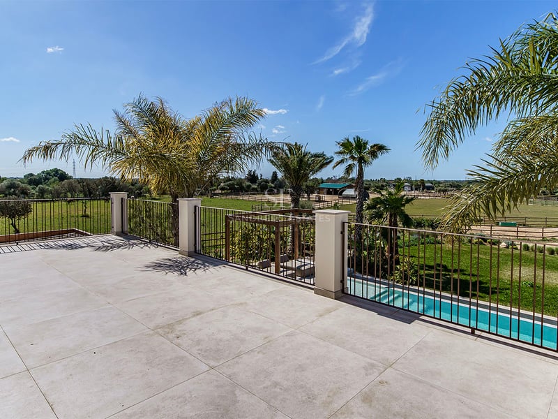 Terrasse surélevée en pierre naturelle avec balustrade en fer donnant sur des palmiers, une piscine et des paddocks.