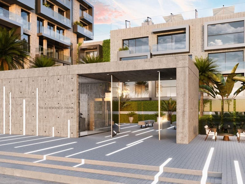 Entrée moderne en béton brut avec éclairage au sol et végétation tropicale.