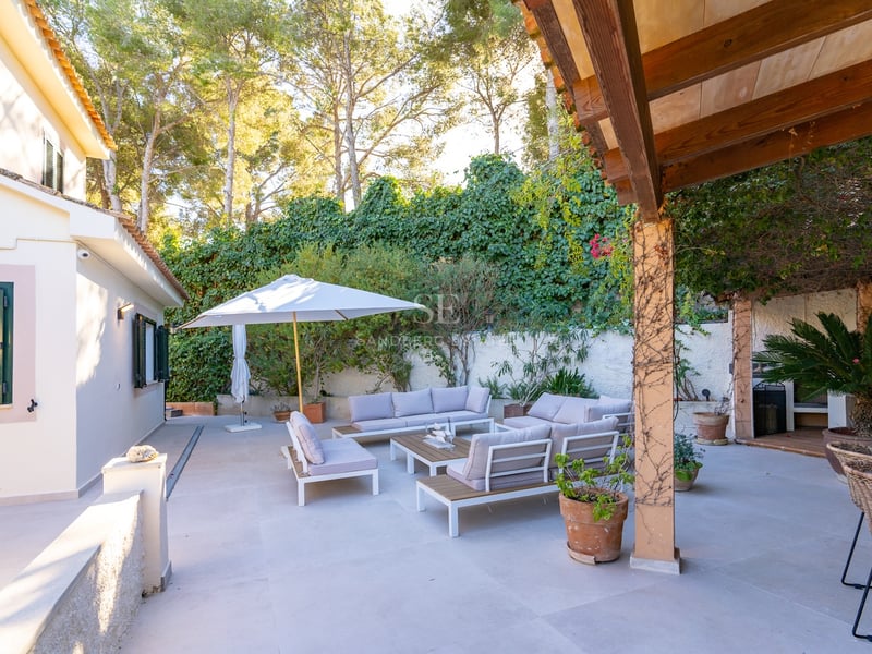 Terrasse en pierre avec mobilier de salon moderne, parasol blanc et pergola en bois entourée de pins et de verdure.