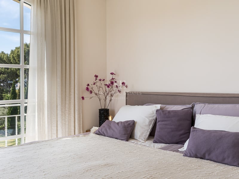 Une chambre lumineuse avec un lit aux coussins mauves à côté d'une grande fenêtre donnant sur des pins verdoyants.