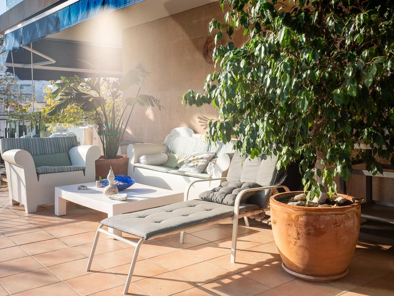 Terrasse ensoleillée avec canapés blancs, chaise longue grise, sols en terre cuite et plantes en pot sous un store bleu.