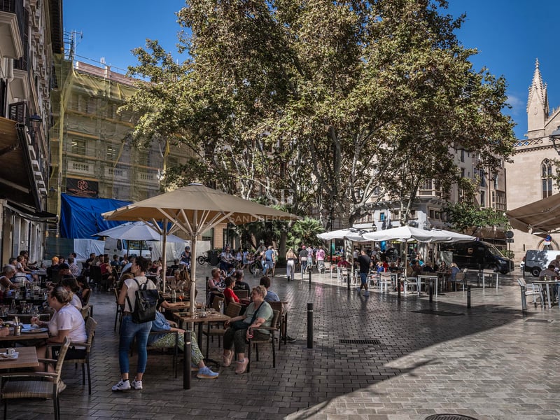 Des gens assis à des tables de café en plein air sous des parasols sur une place pavée avec des arbres et des bâtiments.
