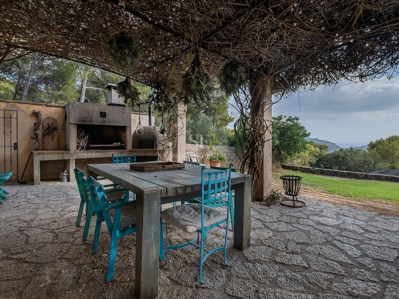 Terrasse en pierre rustique avec chaises turquoise, table en bois et barbecue sous une pergola de vigne.