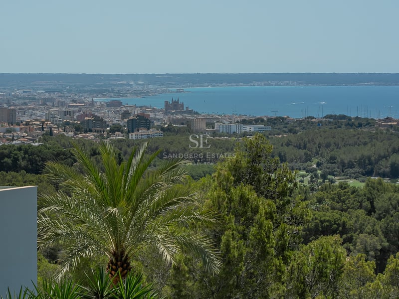 Vue surélevée de la cathédrale de Palma et du port, encadrée par des pinèdes et l'horizon de la mer Méditerranée.
