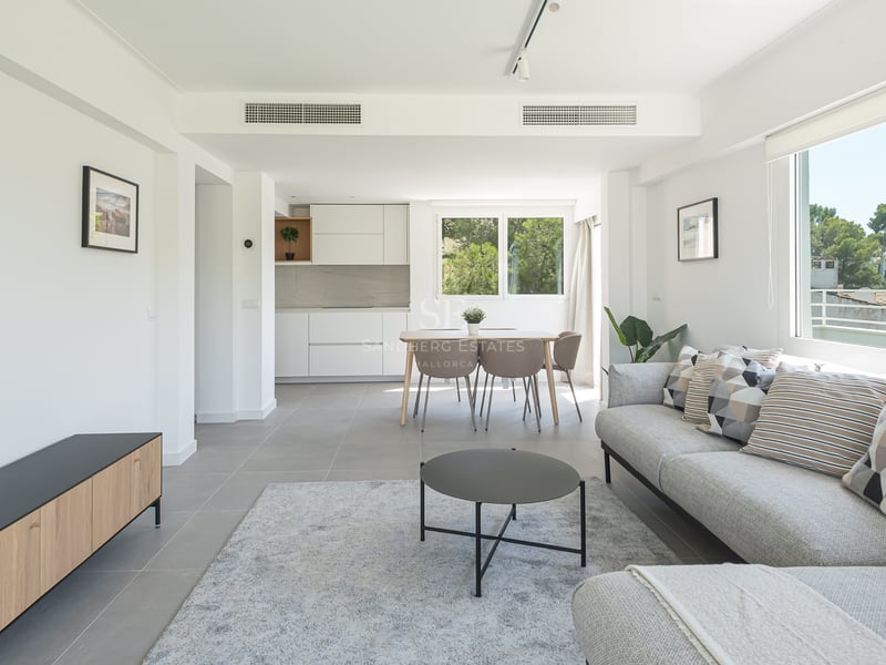 Salon lumineux avec canapé gris, coin repas et cuisine blanche épurée avec vue sur la nature.