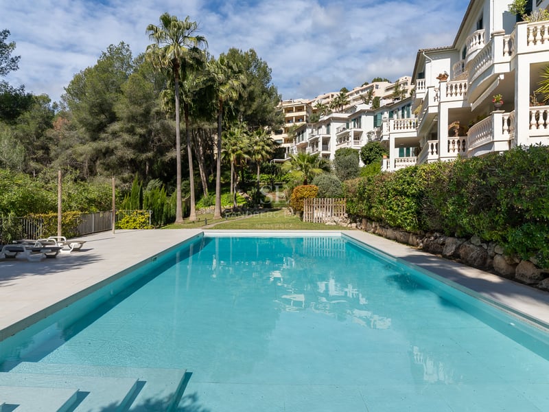 Grande piscine rectangulaire aux eaux turquoises avec terrasse en pierre blanche, entourée de palmiers.