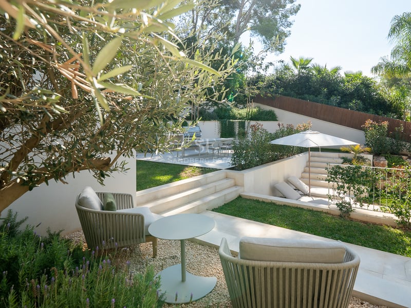 Jardin à plusieurs niveaux avec olivier, mobilier de designer, espace barbecue et pelouse sous le soleil.