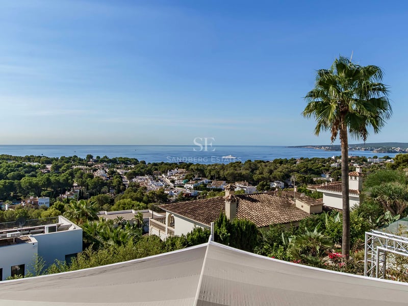 Vue surélevée de la mer bleue et des villas côtières avec des palmiers sous un ciel dégagé.