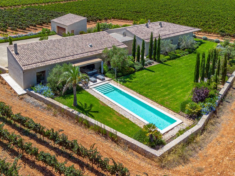 Vue aérienne d'une villa moderne avec piscine rectangulaire, pelouse soignée et vastes vignobles.