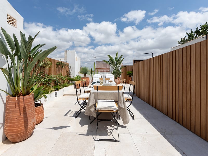 Terraza soleada en la azotea con comedor moderno, paneles de madera verticales y plantas tropicales en macetas de terracota.