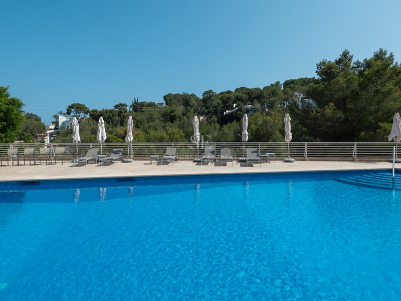 Piscine rectangulaire en carrelage bleu avec chaises longues et parasols devant des collines boisées.