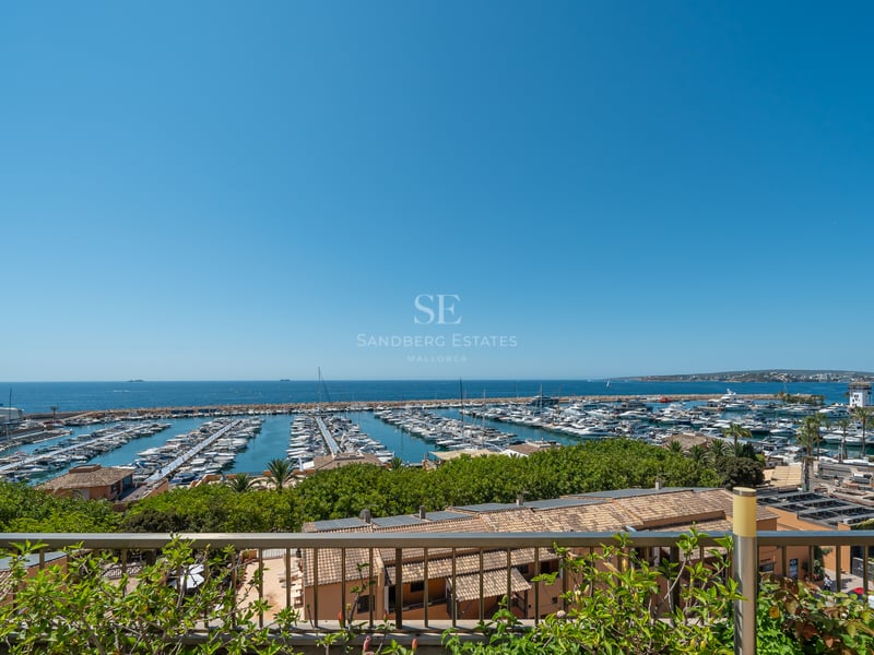 Vue en hauteur d'une marina avec des yachts blancs sous un ciel bleu azur, vue depuis une terrasse végétalisée.