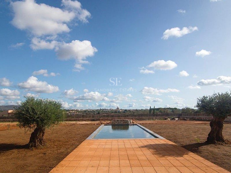 Piscine rectangulaire entourée de deux oliviers centenaires sous un ciel bleu nuageux dans un cadre rural.