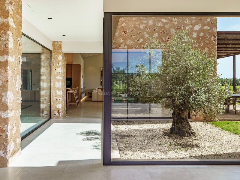 Patio interior acristalado con un olivo sobre grava clara y muros de piedra natural en una villa moderna.