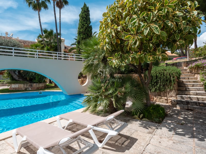Chaises longues au bord d'une piscine turquoise avec un pont blanc et une végétation luxuriante.