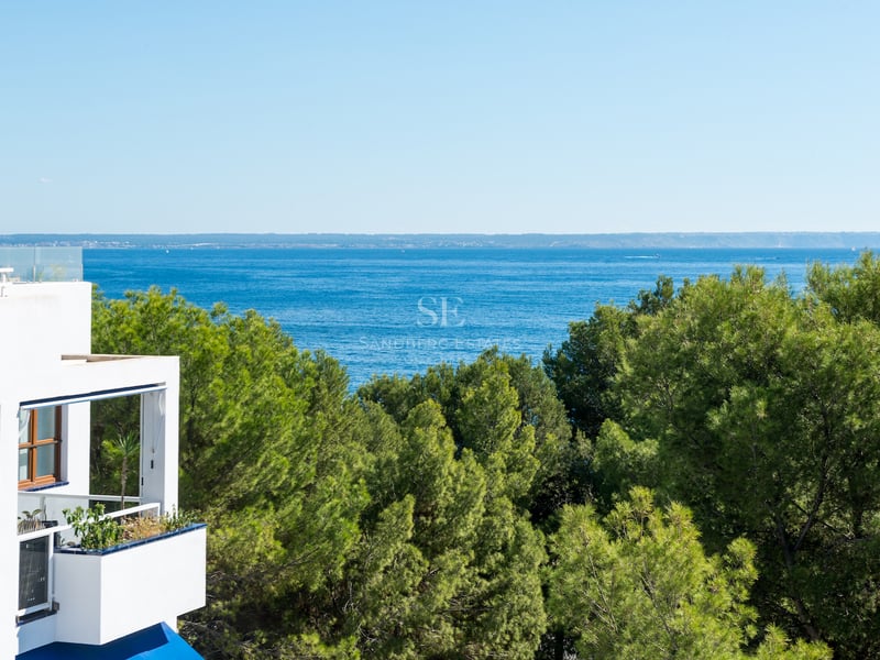 Vue imprenable sur la mer bleue et l'horizon au-dessus de la cime des arbres verts depuis le balcon d'un bâtiment blanc.