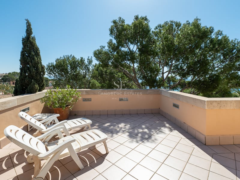 Terrasse de toit avec deux chaises longues blanches, carrelage en terre cuite et murs en pierre entourés de pins.