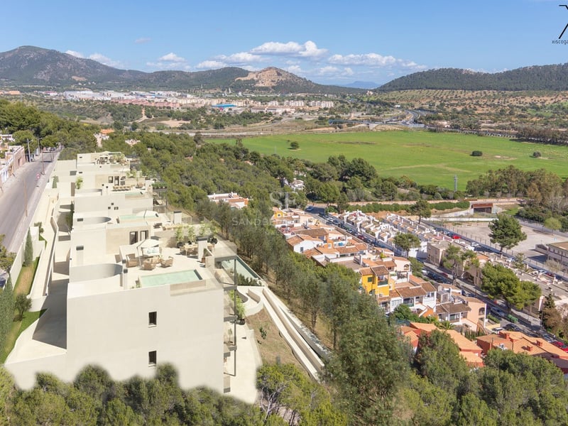 Rendu aérien d'un complexe résidentiel moderne entouré de pins avec vue sur les montagnes et la vallée.