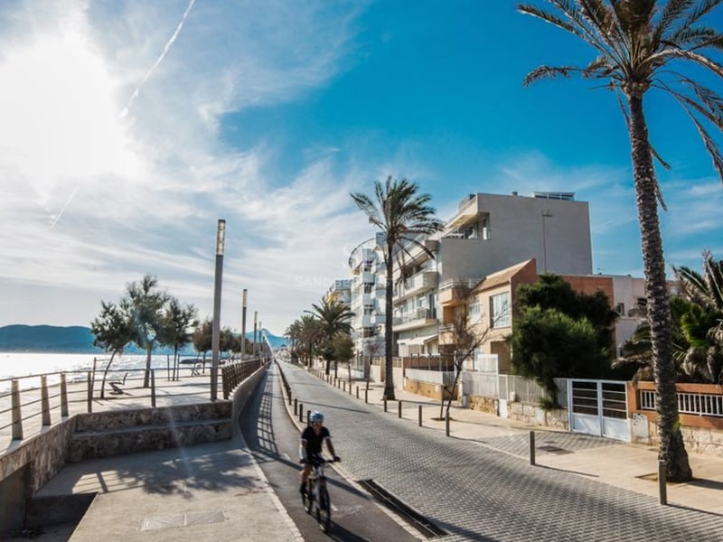 Promenade côtière ensoleillée avec piste cyclable, palmiers et bâtiments modernes en bord de mer.